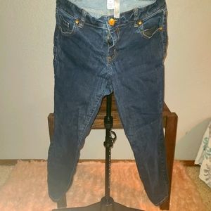 Lane Bryant Skinny Jeans